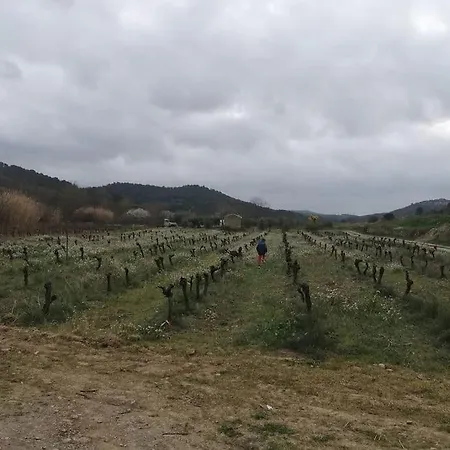 Maison Paisible Au Cœur Des Corbieres Hébergement de vacances *