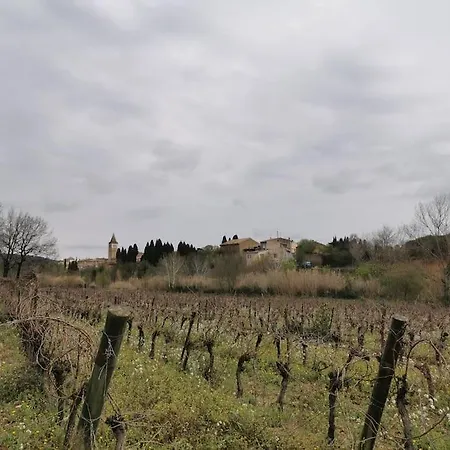 Hébergement de vacances Maison Paisible Au Cœur Des Corbieres Saint-Laurent-de-la-Cabrerisse